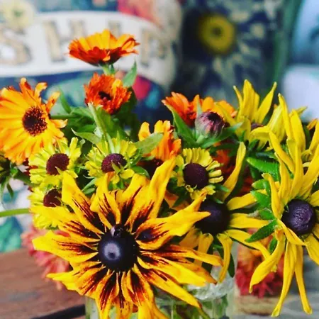 Odmor Na Selu Babajic Апартаменты *