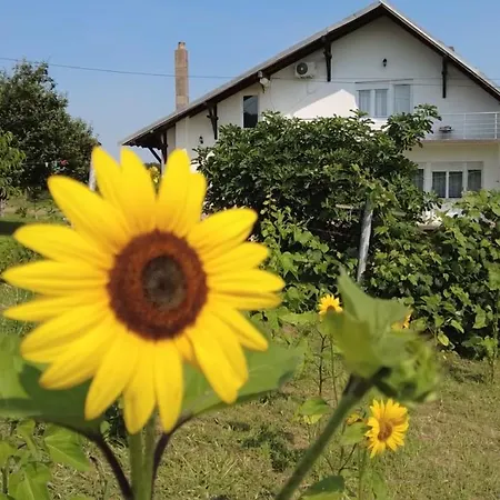 Odmor Na Selu Babajic Апартаменты *