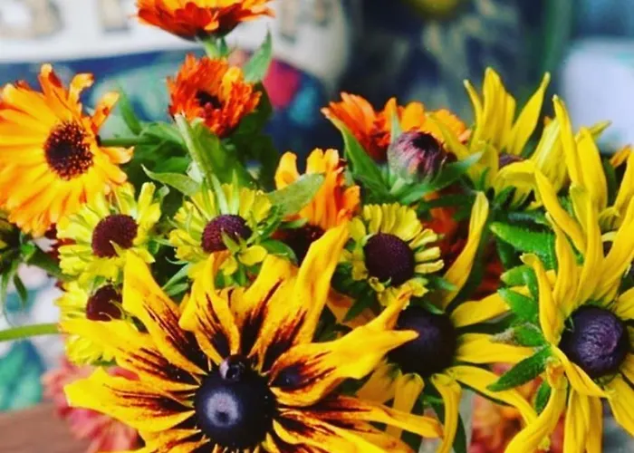 Odmor Na Selu Babajic Daire *