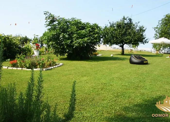 Daire Odmor Na Selu Babajic