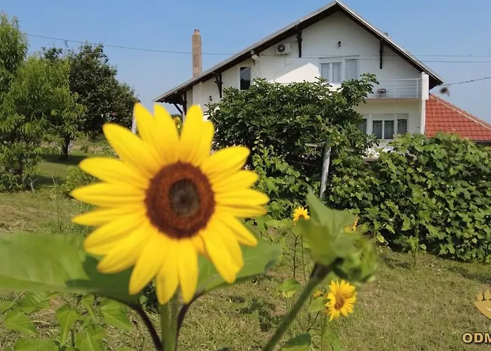 Odmor Na Selu Babajic Daire *